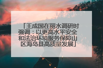 王成国在丽水调研时强调：以更高水平安全和法治环境服务保障山区海岛县高质量发展