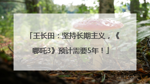王长田：坚持长期主义，《哪吒3》预计需要5年！