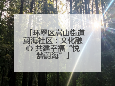 环翠区嵩山街道蔚海社区：文化融心 共建幸福“悦龄蔚海”