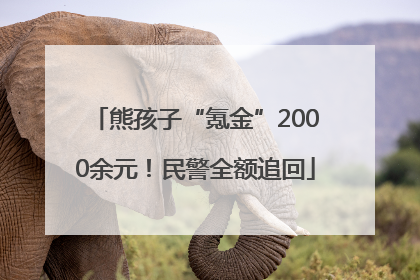 熊孩子“氪金”2000余元！民警全额追回