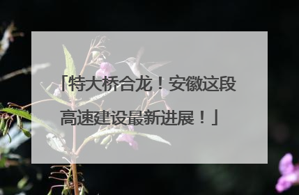 特大桥合龙！安徽这段高速建设最新进展！