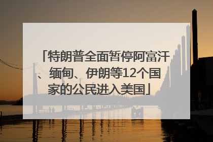 特朗普全面暂停阿富汗、缅甸、伊朗等12个国家的公民进入美国