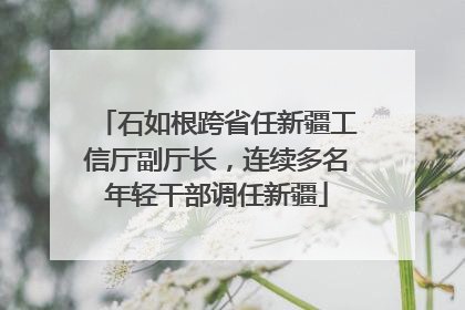 石如根跨省任新疆工信厅副厅长，连续多名年轻干部调任新疆