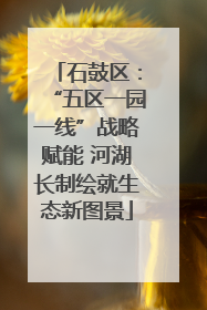 石鼓区：“五区一园一线”战略赋能 河湖长制绘就生态新图景