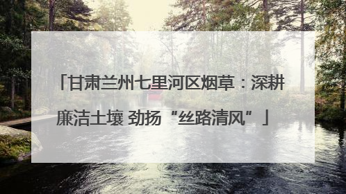 甘肃兰州七里河区烟草：深耕廉洁土壤 劲扬“丝路清风”