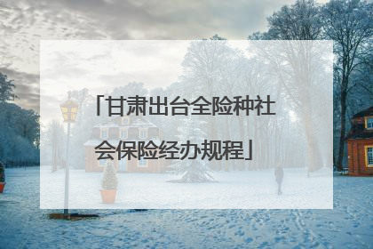 甘肃出台全险种社会保险经办规程