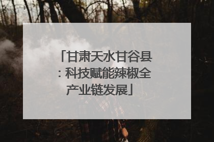 甘肃天水甘谷县：科技赋能辣椒全产业链发展