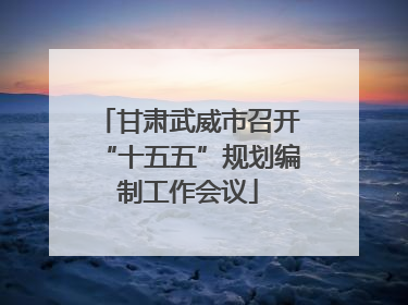 甘肃武威市召开“十五五”规划编制工作会议