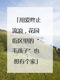 用爱终止流浪，花园街区里的“毛孩子”也想有个家