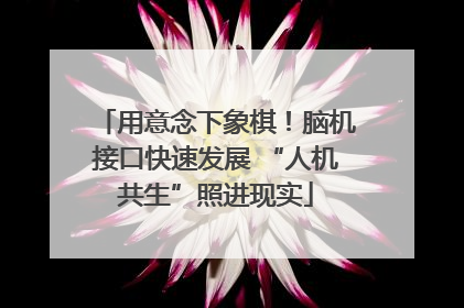 用意念下象棋！脑机接口快速发展 “人机共生”照进现实