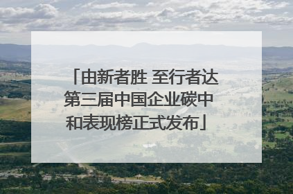 由新者胜 至行者达 第三届中国企业碳中和表现榜正式发布