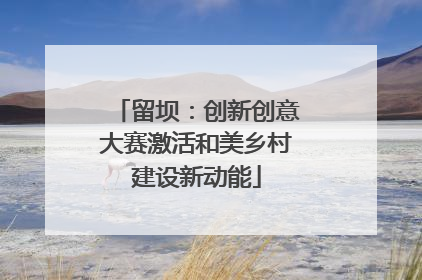 留坝：创新创意大赛激活和美乡村建设新动能