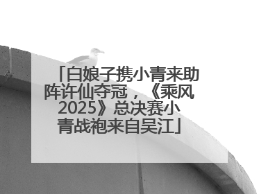 白娘子携小青来助阵许仙夺冠，《乘风2025》总决赛小青战袍来自吴江