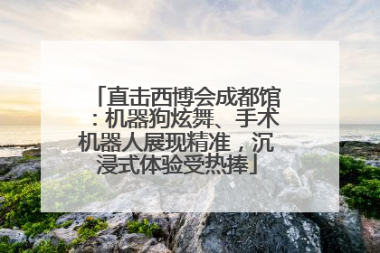 直击西博会成都馆：机器狗炫舞、手术机器人展现精准，沉浸式体验受热捧