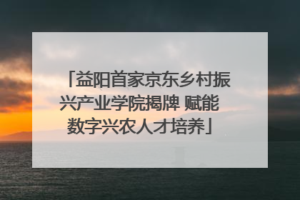 益阳首家京东乡村振兴产业学院揭牌 赋能数字兴农人才培养