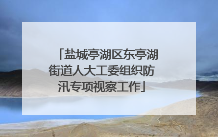 盐城亭湖区东亭湖街道人大工委组织防汛专项视察工作