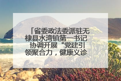 省委政法委派驻无棣县水湾镇第一书记 协调开展“党建引领聚合力，健康义诊惠乡亲”义诊活动