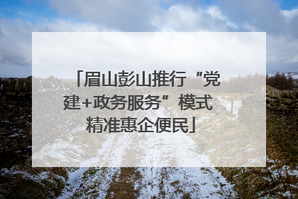 眉山彭山推行“党建+政务服务”模式 精准惠企便民