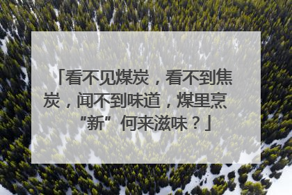 看不见煤炭，看不到焦炭，闻不到味道，煤里烹“新”何来滋味？