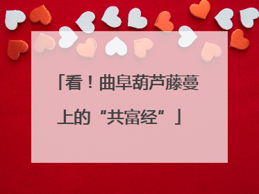 看！曲阜葫芦藤蔓上的“共富经”