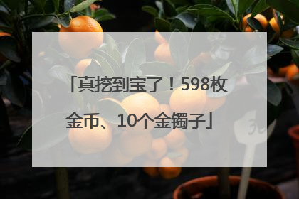 真挖到宝了！598枚金币、10个金镯子