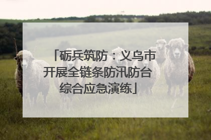 砺兵筑防：义乌市开展全链条防汛防台综合应急演练