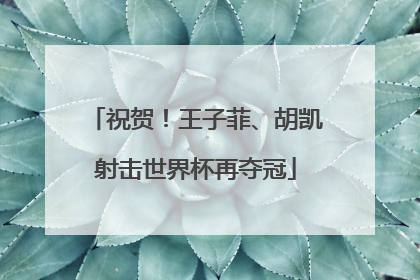 祝贺！王子菲、胡凯射击世界杯再夺冠