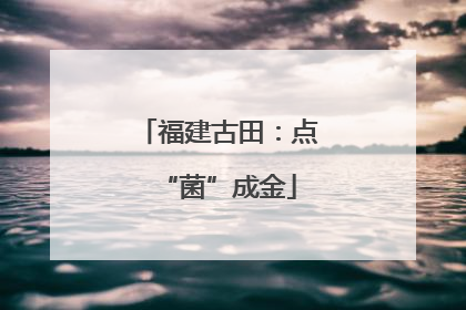 福建古田：点“菌”成金