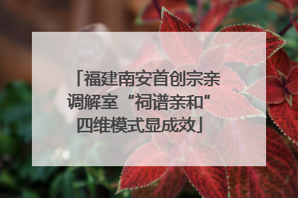 福建南安首创宗亲调解室“祠谱亲和”四维模式显成效