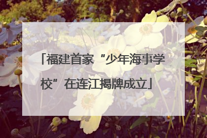 福建首家“少年海事学校”在连江揭牌成立