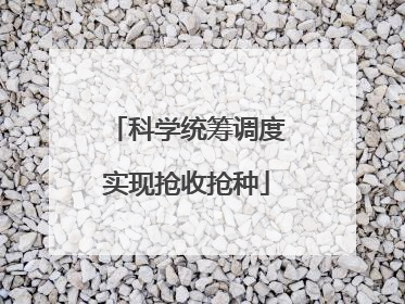 科学统筹调度实现抢收抢种
