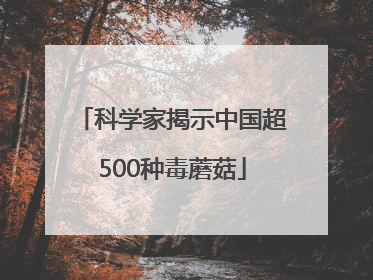 科学家揭示中国超500种毒蘑菇