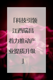 科技引领 江西瑞昌着力推动产业提质升级