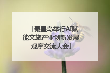 秦皇岛举行AI赋能文旅产业创新发展观摩交流大会