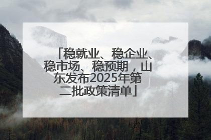 稳就业、稳企业、稳市场、稳预期，山东发布2025年第二批政策清单