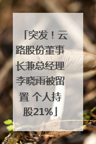 突发！云路股份董事长兼总经理李晓雨被留置 个人持股21%