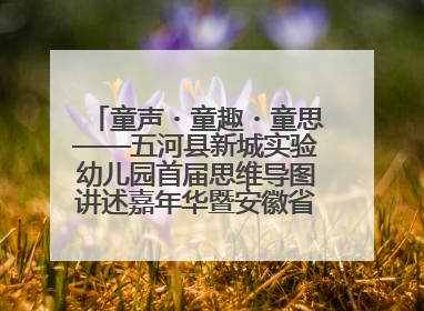 童声・童趣・童思——五河县新城实验幼儿园首届思维导图讲述嘉年华暨安徽省学前教育教研基地园项目阶段性成果展示活动