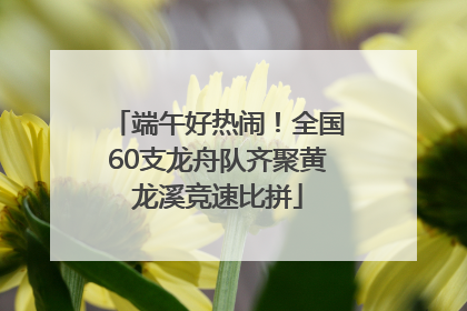 端午好热闹！全国60支龙舟队齐聚黄龙溪竞速比拼