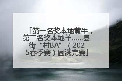 第一名奖本地黄牛，第二名奖本地羊……县街“村BA”（2025春季赛）圆满完赛