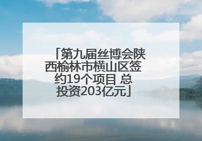 第九届丝博会陕西榆林市横山区签约19个项目 总投资203亿元
