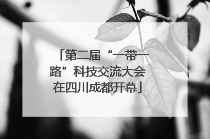 第二届“一带一路”科技交流大会在四川成都开幕