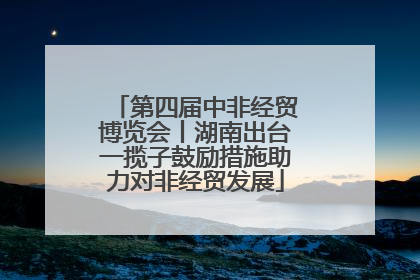 第四届中非经贸博览会丨湖南出台一揽子鼓励措施助力对非经贸发展