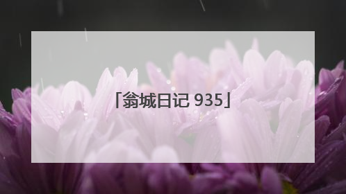 翁城日记 935