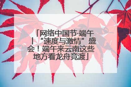 网络中国节·端午丨“速度与激情”盛会！端午来云南这些地方看龙舟竞渡