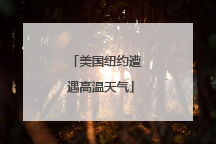 美国纽约遭遇高温天气