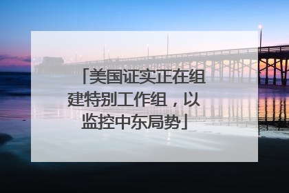 美国证实正在组建特别工作组，以监控中东局势