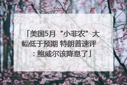 美国5月“小非农”大幅低于预期 特朗普速评：鲍威尔该降息了