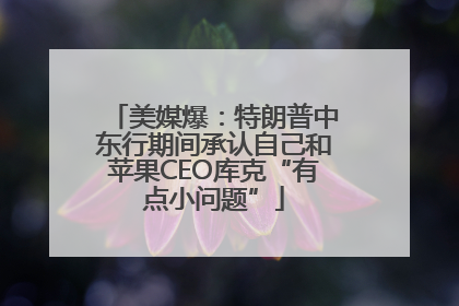 美媒爆：特朗普中东行期间承认自己和苹果CEO库克“有点小问题”