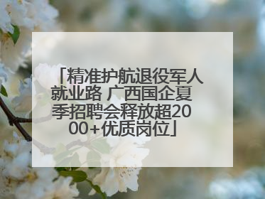 精准护航退役军人就业路 广西国企夏季招聘会释放超2000+优质岗位