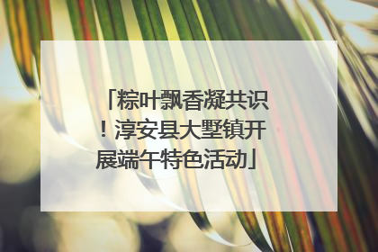 粽叶飘香凝共识！淳安县大墅镇开展端午特色活动